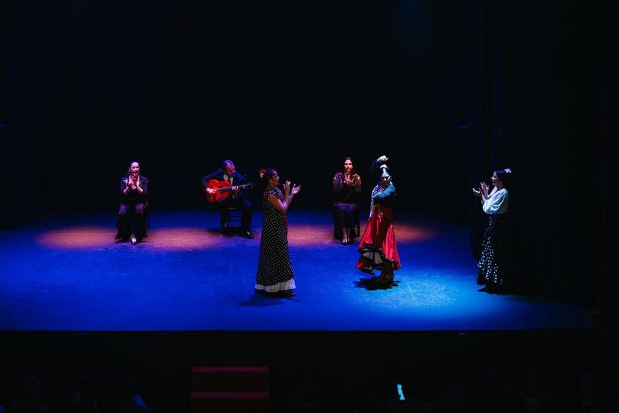 Seville: Live Flamenco Dancing Show Ticket at the Theater - Cost and Value: Is $27 a Fair Deal?