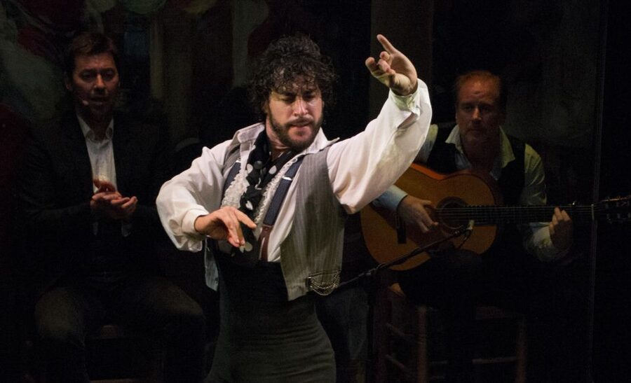 Seville: Live Flamenco Show at "Teatro Flamenco Triana" - Key highlights worth planning for