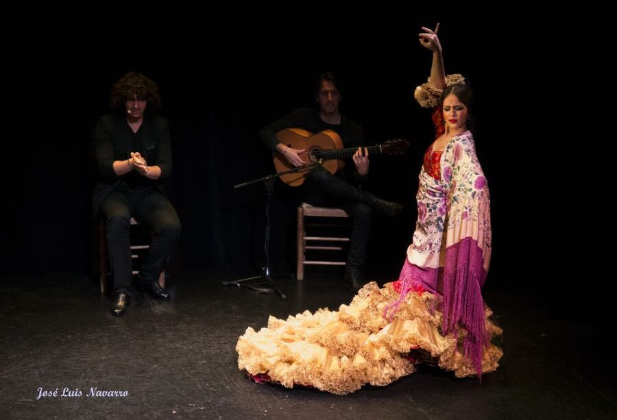 Seville: Live Flamenco Show at "Teatro Flamenco Triana" - Live guitar and singers: why the sound is part of the show