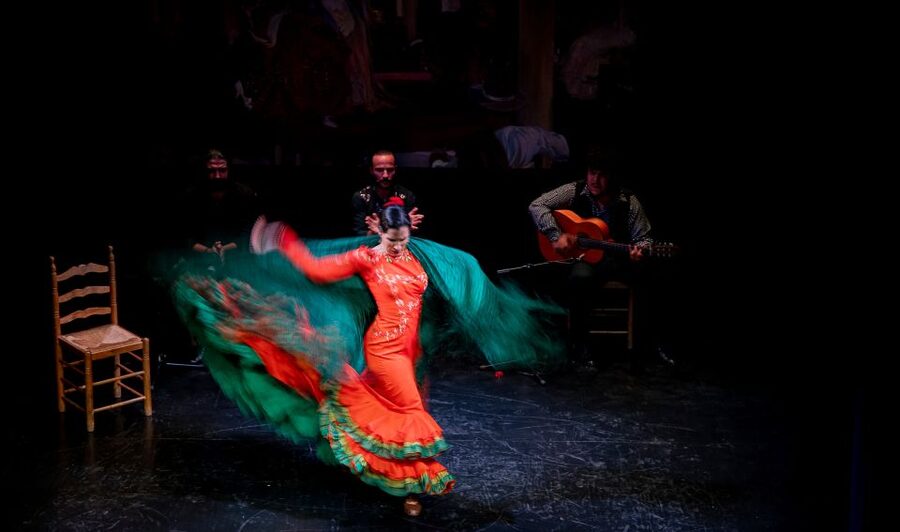Seville: Live Flamenco Show at "Teatro Flamenco Triana" - Why it feels authentic: profits that support flamenco itself