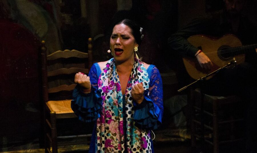 Seville: Live Flamenco Show at "Teatro Flamenco Triana" - Price and value: does $28 make sense for Seville?