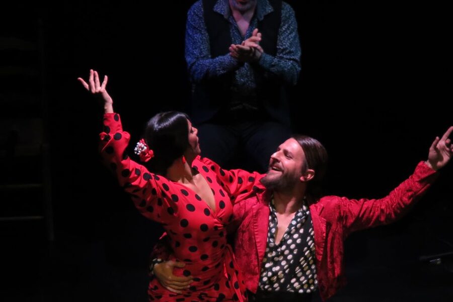 Seville: Live Flamenco Show at "Teatro Flamenco Triana" - Who this flamenco show fits best