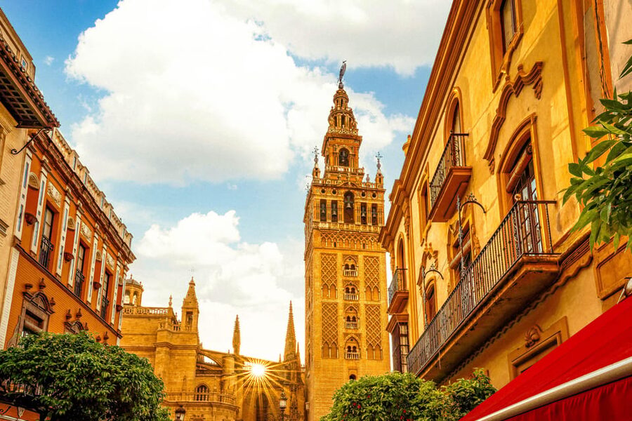 Seville: Priority Access Cathedral, Giralda & Alcázar Tour - Patio time to stories: how the guide makes it make sense