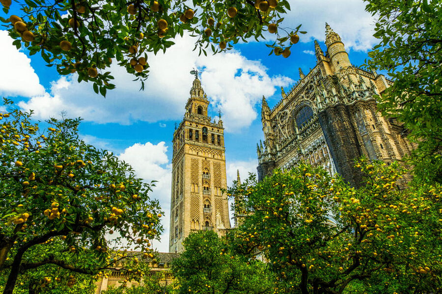 Seville: Priority Access Cathedral, Giralda & Alcázar Tour - Real Alcázar: where Moorish details meet royal life