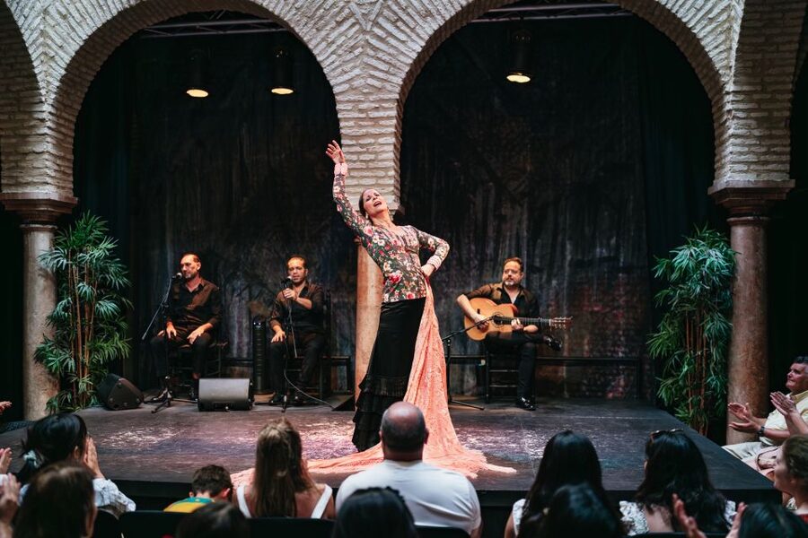 Seville: Puro Flamenco Show with Optional Museum Ticket - The museum option: how the Flamenco Dance Museum boosts what you see