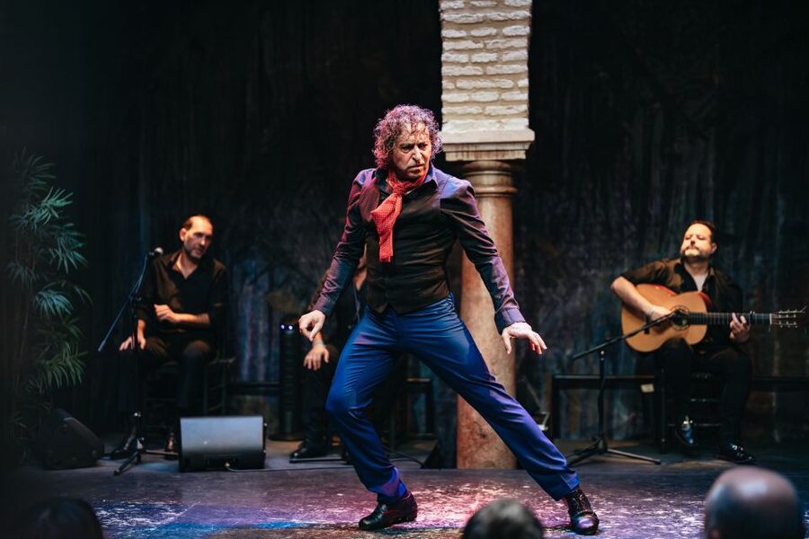 Seville: Puro Flamenco Show with Optional Museum Ticket - Who this fits best, and who should think twice