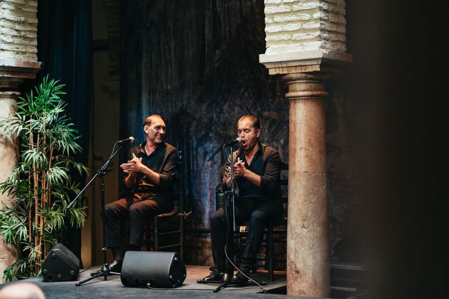 Seville: Puro Flamenco Show with Optional Museum Ticket - Price and value: what $34 gets you in Seville