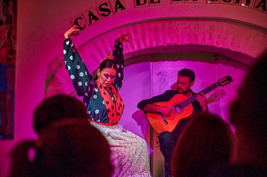 Seville: Ticket to Flamenco Show at La Casa de la Guitarra - Who should book this, and who might skip it