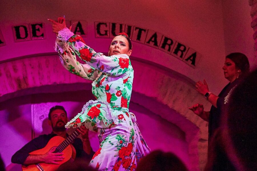 Seville: Ticket to Flamenco Show at La Casa de la Guitarra - Should you book La Casa de la Guitarra?