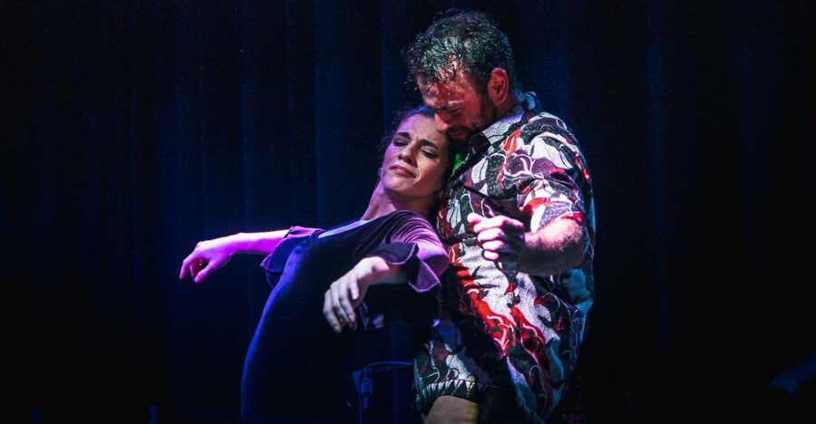 Seville: Traditional Flamenco Show in Triana - The 1-hour show, from guitarist solo to Sevillanas finale