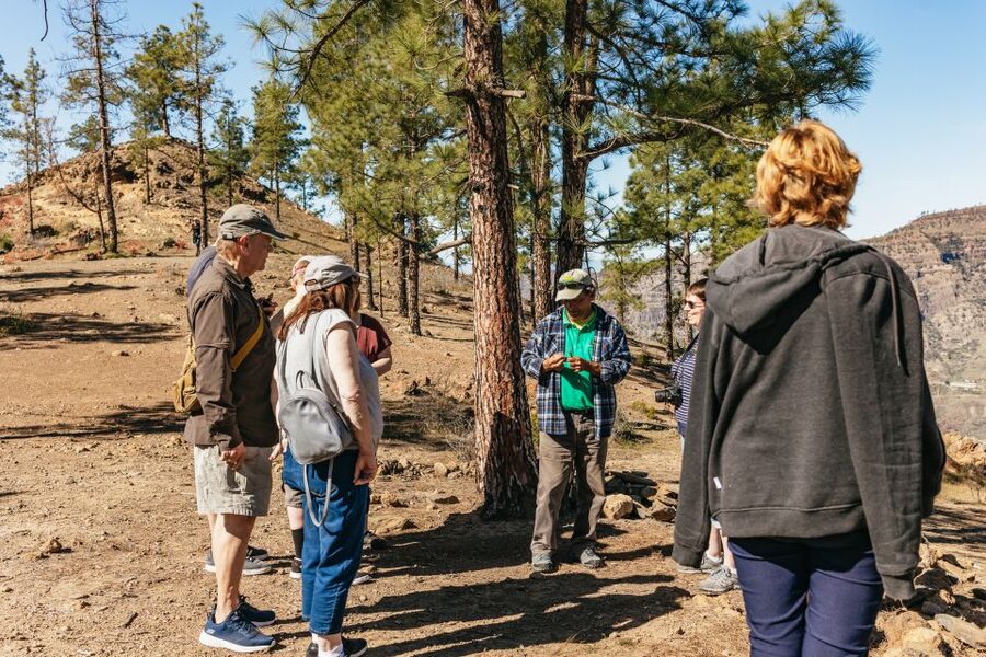 South Gran Canaria: Off-Road Valleys & Villages Jeep Tour - Why this jeep tour hits different in South Gran Canaria