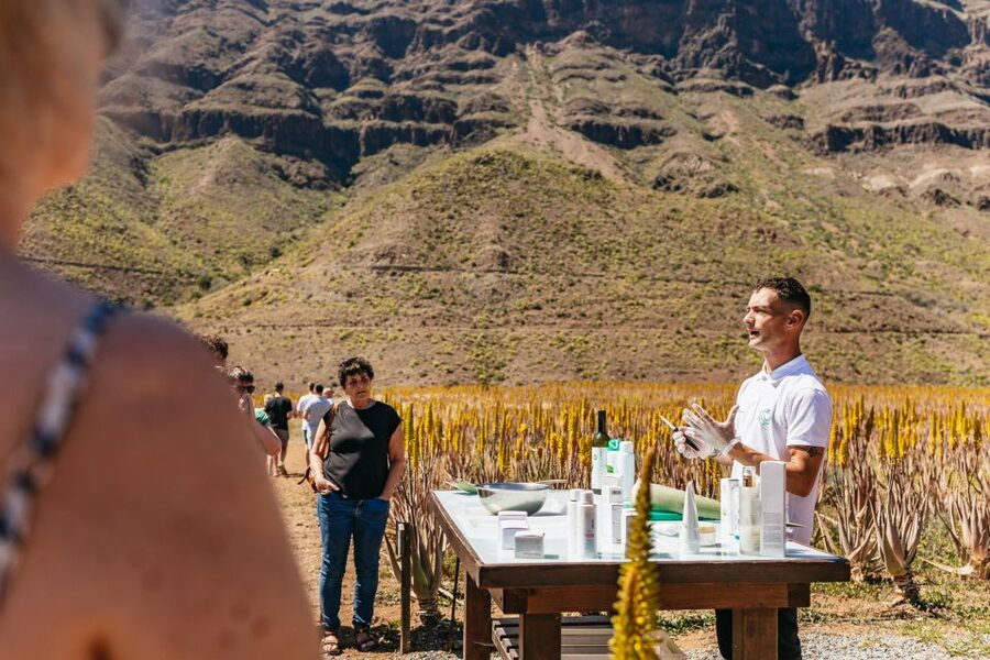 South Gran Canaria: Off-Road Valleys & Villages Jeep Tour - The starry viewpoint stop, plus Mirador Las Moscas
