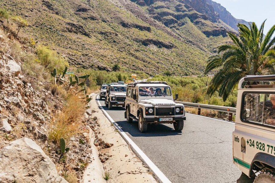 South Gran Canaria: Off-Road Valleys & Villages Jeep Tour - Lunch, snacks, and what it costs once you’re in the middle of it