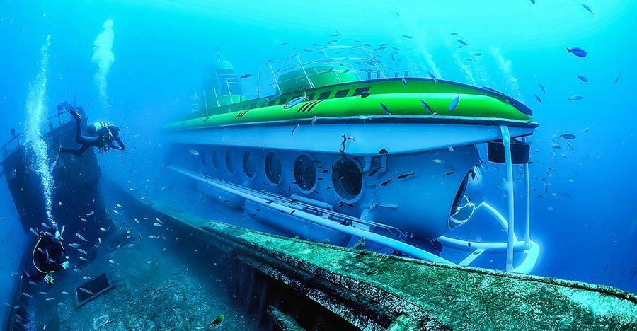 Southern Tenerife: 50-Minute Submarine Dive - Marine life you’ll actually be able to see close up