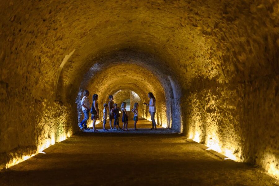 Tarragona: Roman Heritage Guided Walking Tour - Who this tour is for