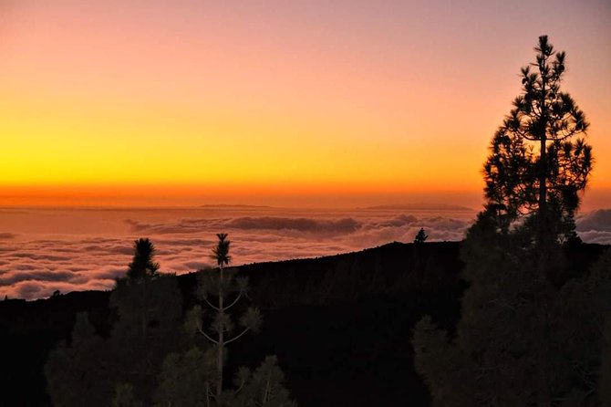 Teide National Park Sunset & Stargazing with Dinner (Star Safari) - Stop 4: Stargazing at Mirador de las Narices del Teide