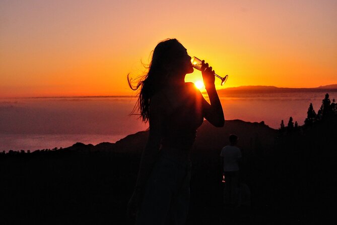 Teide National Park Sunset & Stargazing with Dinner (Star Safari) - What you’ll actually see through the telescopes