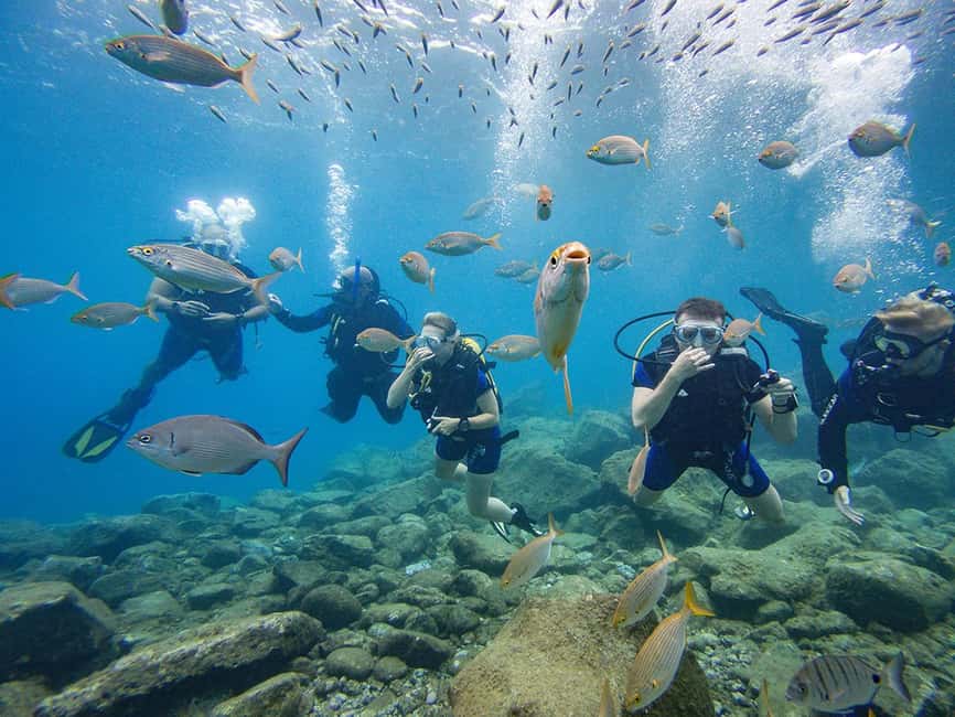 Tenerife: Beginner Scuba Dive Experience - Key highlights I’d plan my trip around