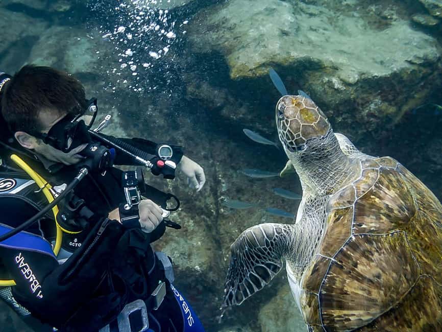 Tenerife: Beginner Scuba Dive Experience - Gear-up and the shallow underwater session where you learn to breathe