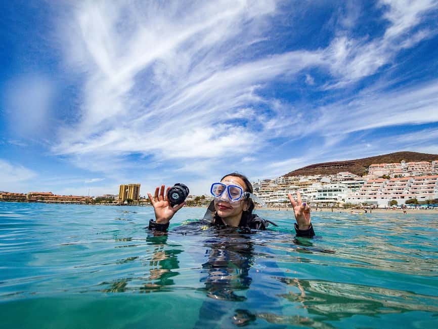Tenerife: Beginner Scuba Dive Experience - Marine life in Tenerife: what you might see on a first underwater outing