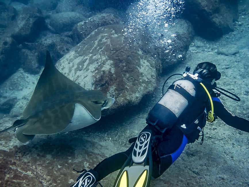 Tenerife: Beginner Scuba Dive Experience - Equipment, full cylinder, and scuba insurance, plus a “nice to have” photo option
