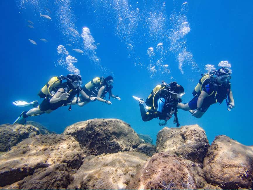 Tenerife: Beginner Scuba Dive Experience - Price and value at about $83 for a 3-hour beginner experience