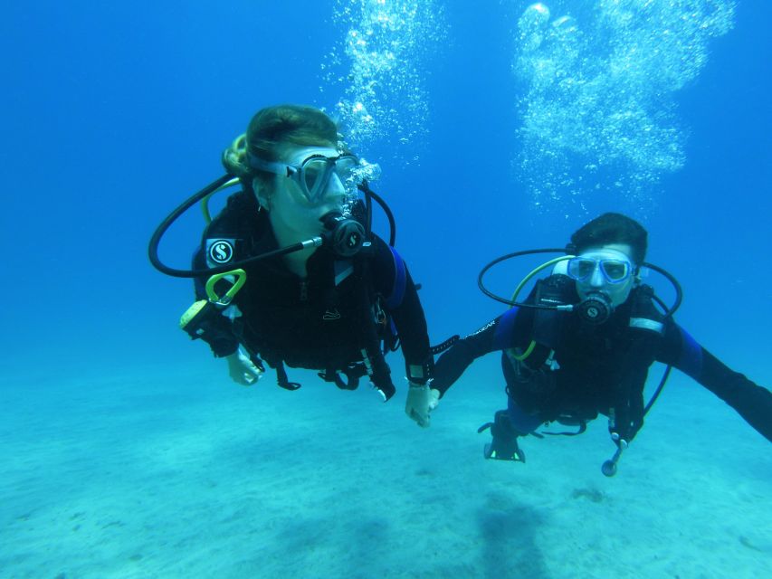 Tenerife: Beginner Scuba Dive Experience - Practical tips before you go underwater in Tenerife
