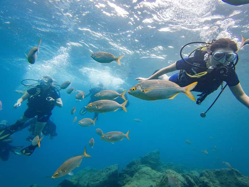 Tenerife: Beginner Scuba Dive Experience - The 30-Minute safety and skills step that makes or breaks your experience