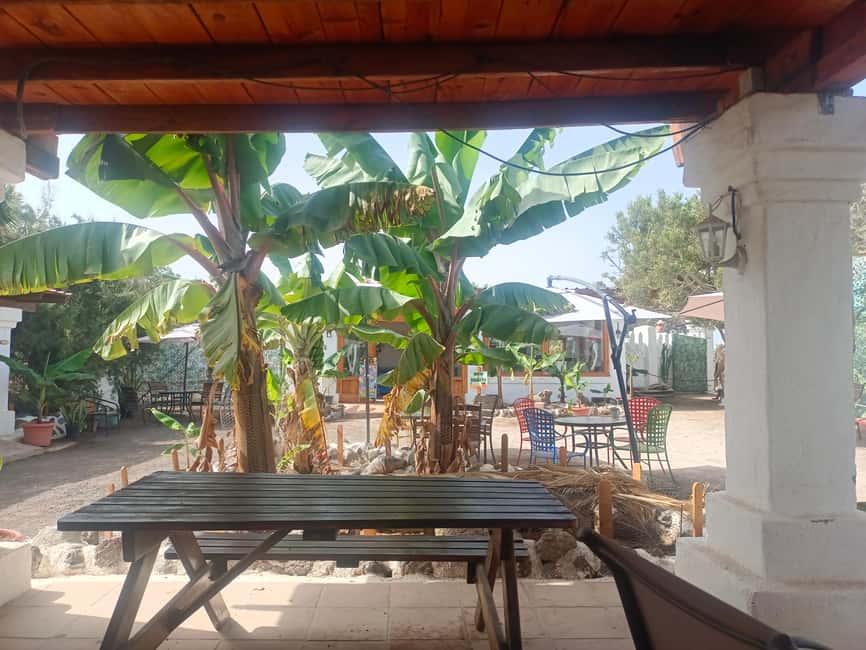 Tenerife: Camel Experience - After the ride: terrace drinks and snacks (when included)