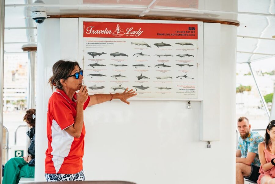 Tenerife: Eco-Yacht Whale and Dolphin Watching and Swimming - Los Cristianos Photo Stops and Early Whale Watching