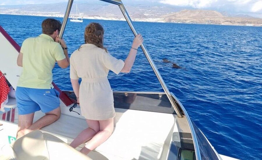 Tenerife: Eco-Yacht Whale and Dolphin Watching and Swimming - Palm-Mar Coast Pass and the Cave of Love Stop