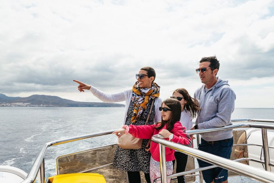 Tenerife: Eco-Yacht Whale and Dolphin Watching and Swimming - Who Should Book This, and Who Might Want to Skip