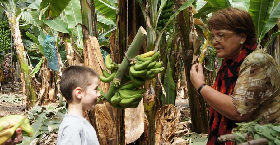 Tenerife: Finca Las Margaritas Banana Plantation Experience - Key things I’d put on your radar