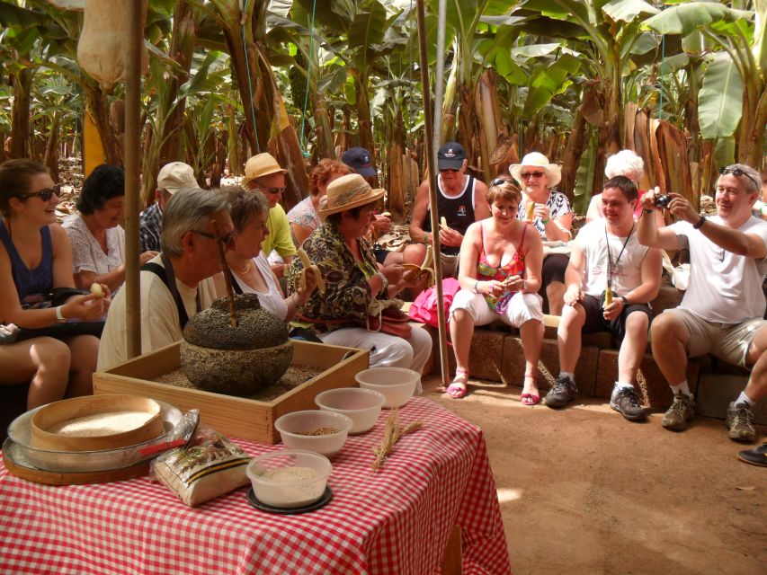 Tenerife: Finca Las Margaritas Banana Plantation Experience - Who This Plantation Experience Suits Best