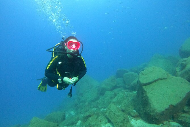 Tenerife First Time Scuba Dive – Turtle Habitat, Small Groups - Meet at the Costa Adeje Base, Then Head to Puerto Colón