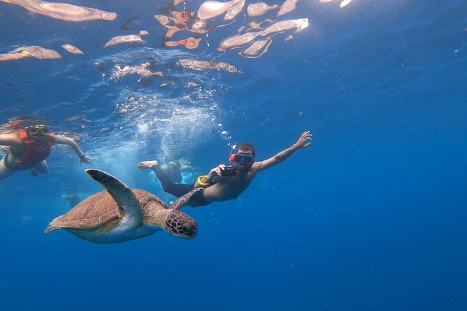 Tenerife: Kayak and snorkel with marine life safari - When Conditions Change: Rain Is One Thing, Rough Seas Is Another