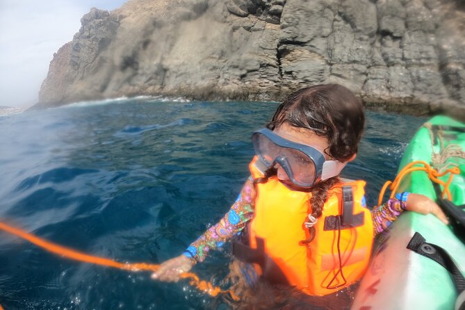 Tenerife: Kayak and snorkel with marine life safari - Price and Value: How $42.34 Adds Up