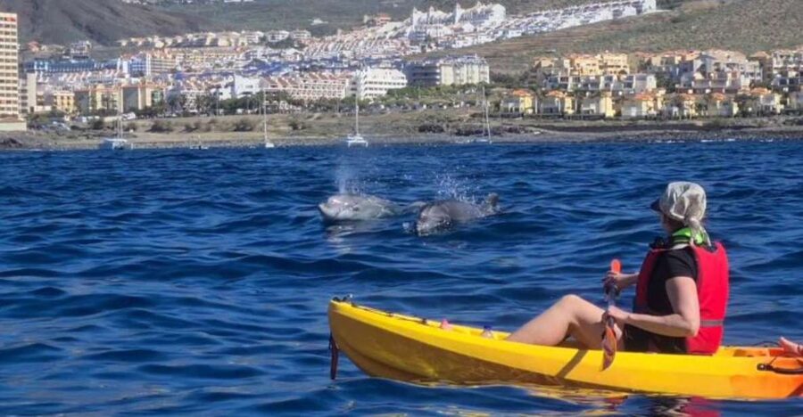 Tenerife: Kayak Safari and Snorkel in a Marine Reserve - Why this Tenerife kayak safari feels different from regular boat trips