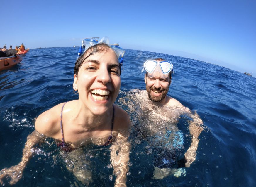 Tenerife: Kayak Safari and Snorkel in a Marine Reserve - Price and value: why $29 can feel like a steal if you want marine life