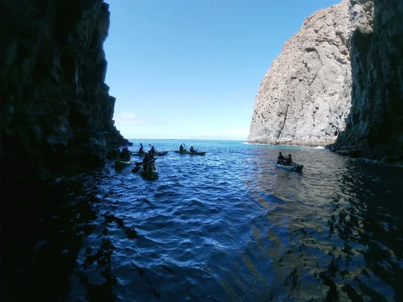 Tenerife: Kayak & Snorkel with Local Fauna, Photos Included - Where Los Cristianos fits into Tenerife’s coastline plan