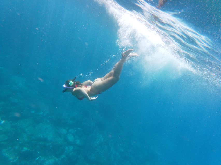 Tenerife: Kayak & Snorkel with Local Fauna, Photos Included - Kayaking the volcanic coast: caves, cliffs, and wildlife time