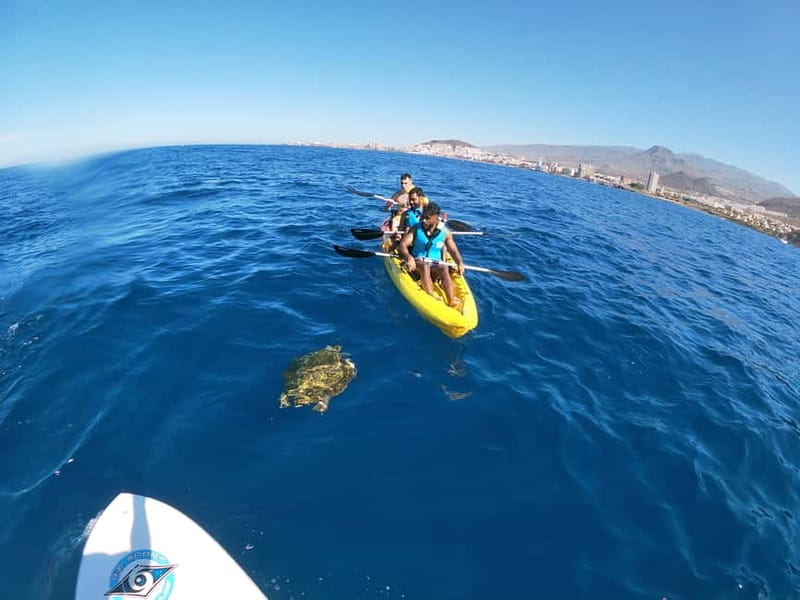 Tenerife: Kayak & Snorkel with Local Fauna, Photos Included - Back at land: photos, snack, and hot or cold showers