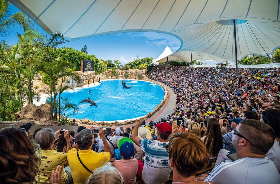 Tenerife: Loro Parque Entry Ticket - Key things to know before you go