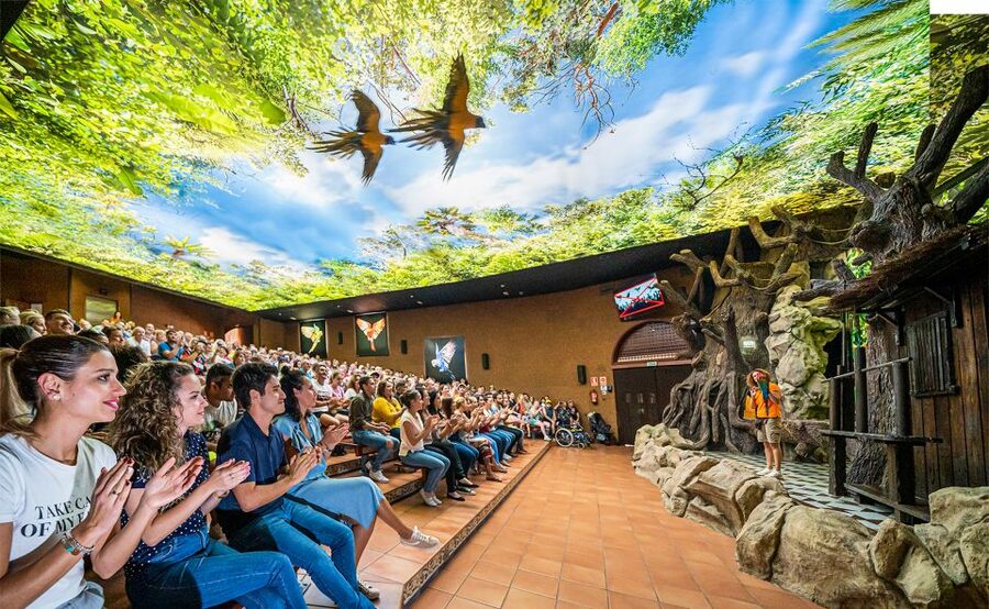 Tenerife: Loro Parque Entry Ticket - Loro Parque in Tenerife: a day built around animals, gardens, and shows