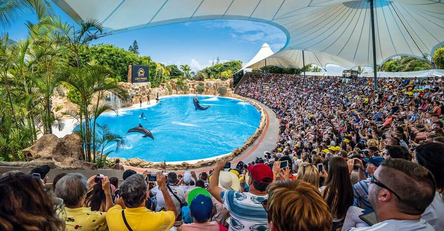 Tenerife: Loro Parque Entry Ticket - Price and value: where the money goes and what to measure