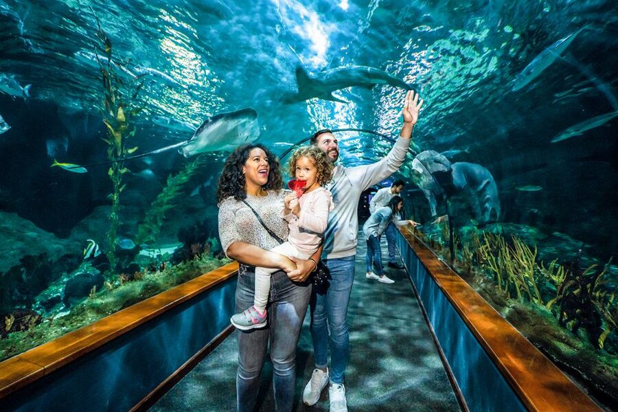 Tenerife: Loro Parque Entry Ticket - Morning game plan: start with gardens, birds, and easy wins