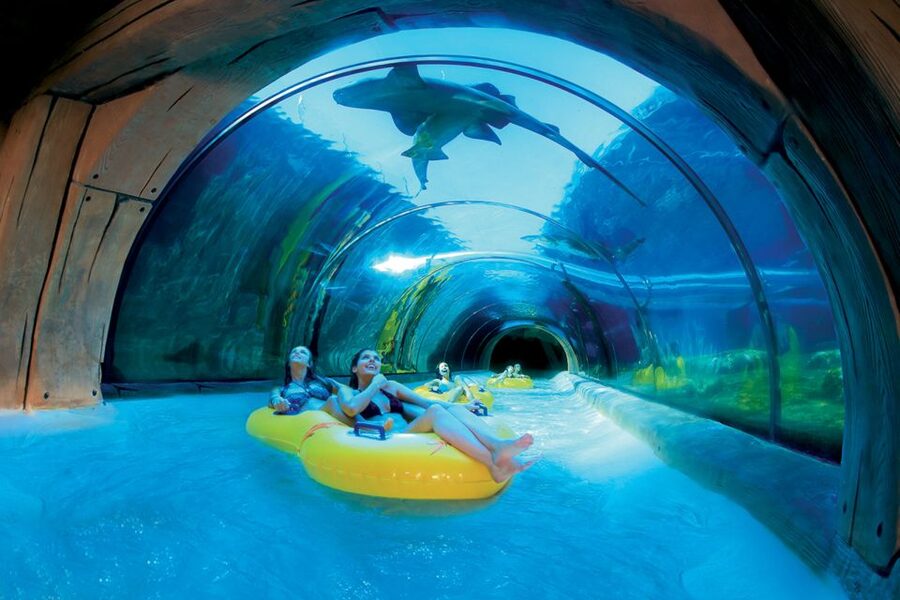 Tenerife: Loro Parque & Siam Park Entry Ticket with Transfer - Siam Park: Water Slides, Thailand-Themed Fun, and Queue Reality