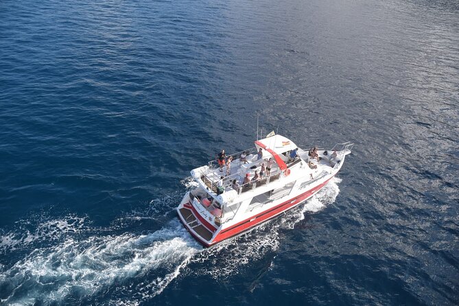 Tenerife Los Cristianos: Whale and Dolphin Eco-Yacht and Swim Stop - The Cave of Love pass: photos, scenery, and a fun break from scanning