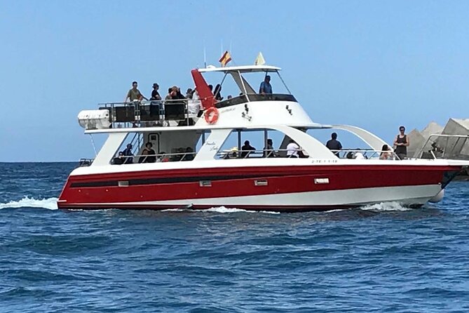 Tenerife Los Cristianos: Whale and Dolphin Eco-Yacht and Swim Stop - Playa and swim stop: free time to swim and snorkel, with your own gear