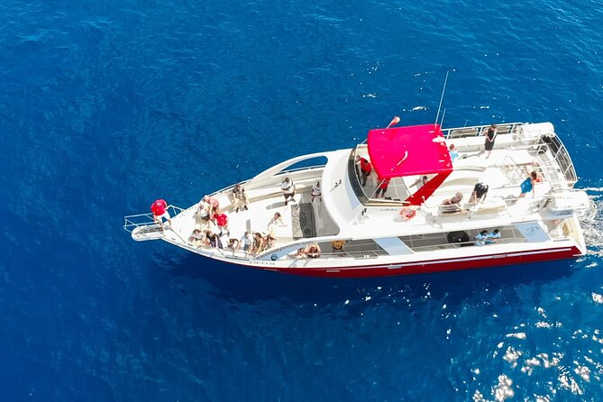 Tenerife Los Cristianos: Whale and Dolphin Eco-Yacht and Swim Stop - Palm Mar coastline search: what you can realistically look for